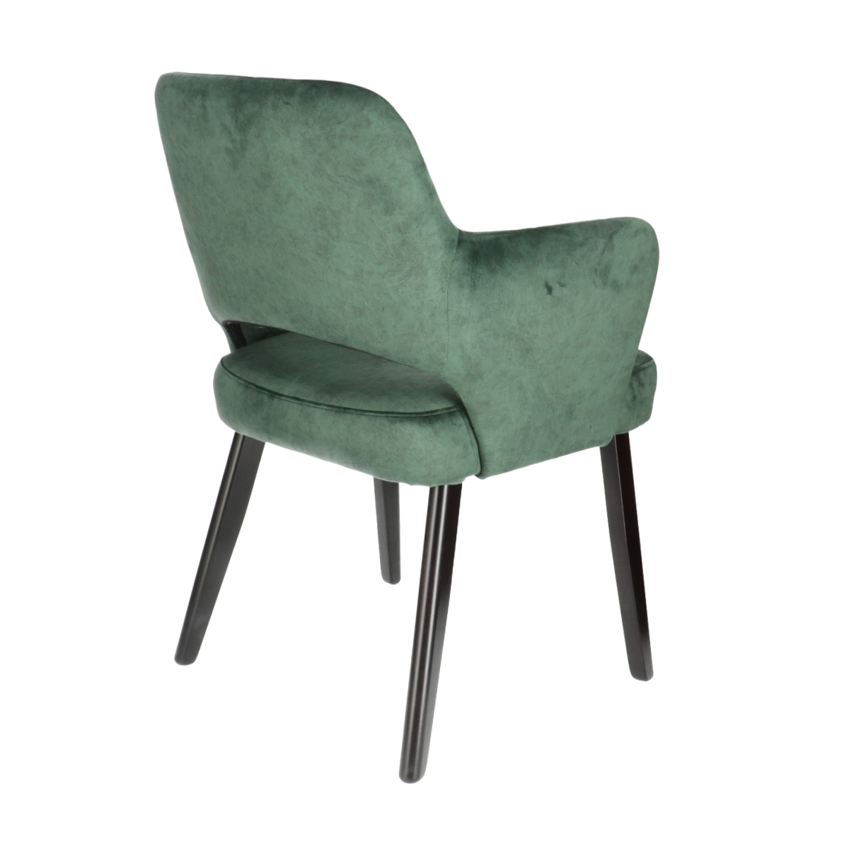 DN AMIGO P Green classic Upholstered indoor chair